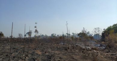Campanha SOS Araguaia para combater queimadas é lançada com apoio de empresas ____ 23/09/2020 11h12 - Atualizado em 23/09/2020 11h20 foto: Guilherme Tiezzi / Proprietário da EcoAraguaia Fazenda do Futuro