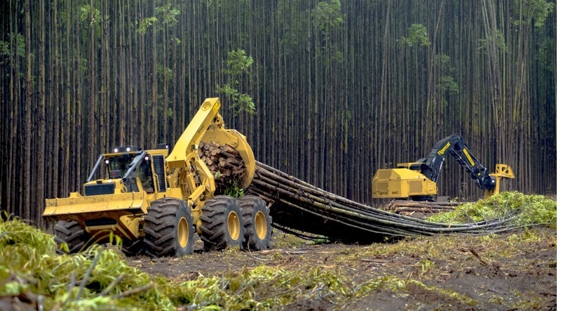 Unidas oferece soluções para os segmentos madeireiro e florestal . Com mais de 2 mil equipamentos locados apenas para a silvicultura, companhia apresenta portfólio durante o Florestas Tchê 