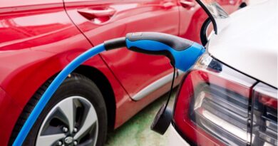 Eletrificados seguem crescendo no semestre e se consolidam na faixa de 8% de participação de mercado Elétricos e híbridos crescem 9,5% no semestre sobre 1º semestre de 2024