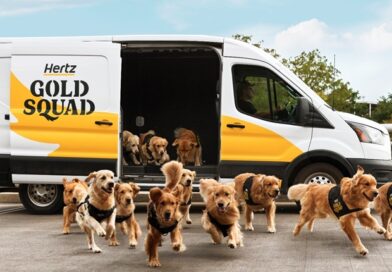  Hertz leva Golden Retrievers para aeroporto nos EUA A Hertz lançou uma iniciativa inusitada para receber viajantes nos principais aeroportos dos Estados Unidos. A locadora está levando um grupo de Golden Retrievers, chamado de “Gold Squad”