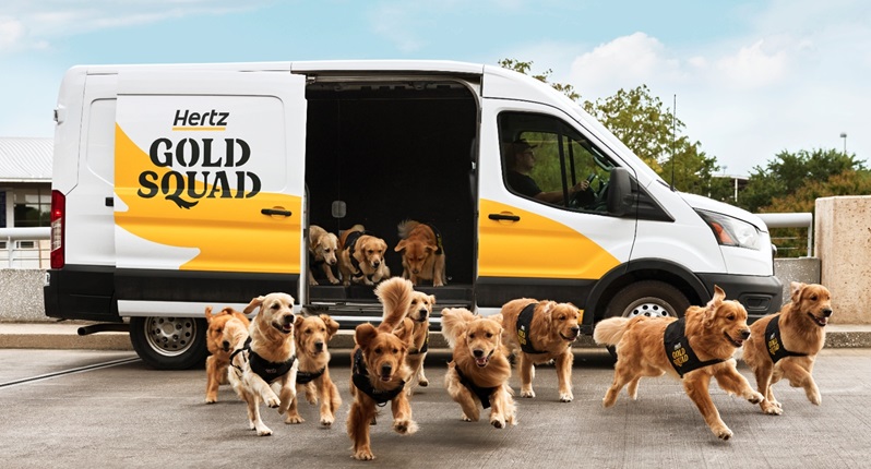 Hertz leva Golden Retrievers para aeroporto nos EUA A Hertz lançou uma iniciativa inusitada para receber viajantes nos principais aeroportos dos Estados Unidos. A locadora está levando um grupo de Golden Retrievers, chamado de “Gold Squad”
