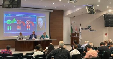 Ano de 2025 encerra com crescimento de 8% nos emplacamentos