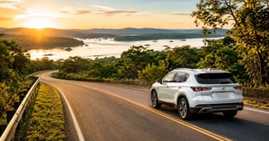 Locarx cresce 15% com turismo e acelera expansão. Rede registra crescimento nas diárias para turismo no primeiro semestre e amplia presença em novos mercados