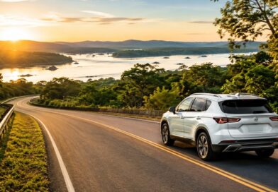 Locarx cresce 15% com turismo e acelera expansão. Rede registra crescimento nas diárias para turismo no primeiro semestre e amplia presença em novos mercados