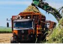 VAMOS leva caminhão semiautônomo para transbordo de cana na Adecoagro. Agronomous é usado no transbordo de cana na safra 2026–2027, com foco em precisão, produtividade e preservação do canavial