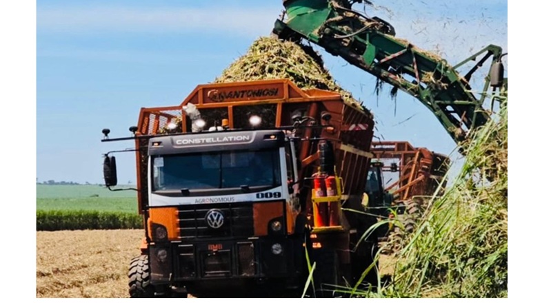 VAMOS leva caminhão semiautônomo para transbordo de cana na Adecoagro. Agronomous é usado no transbordo de cana na safra 2026–2027, com foco em precisão, produtividade e preservação do canavial